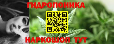 Альфа ПВП Каменск-Шахтинский