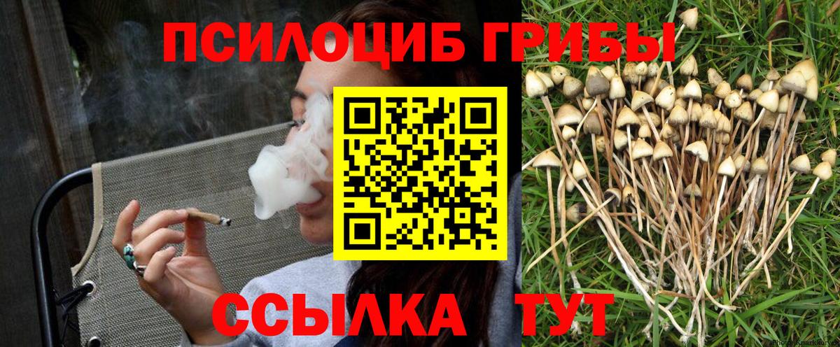 Псилоцибиновые грибы Magic Shrooms  Галлюциногенные грибы Psilocybe  Вход с VPN  Тулун 